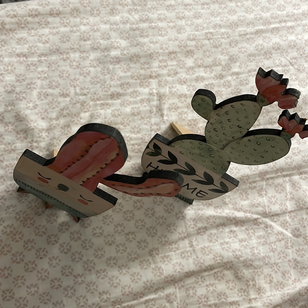 Cactus Decor - Picture 2 of 4